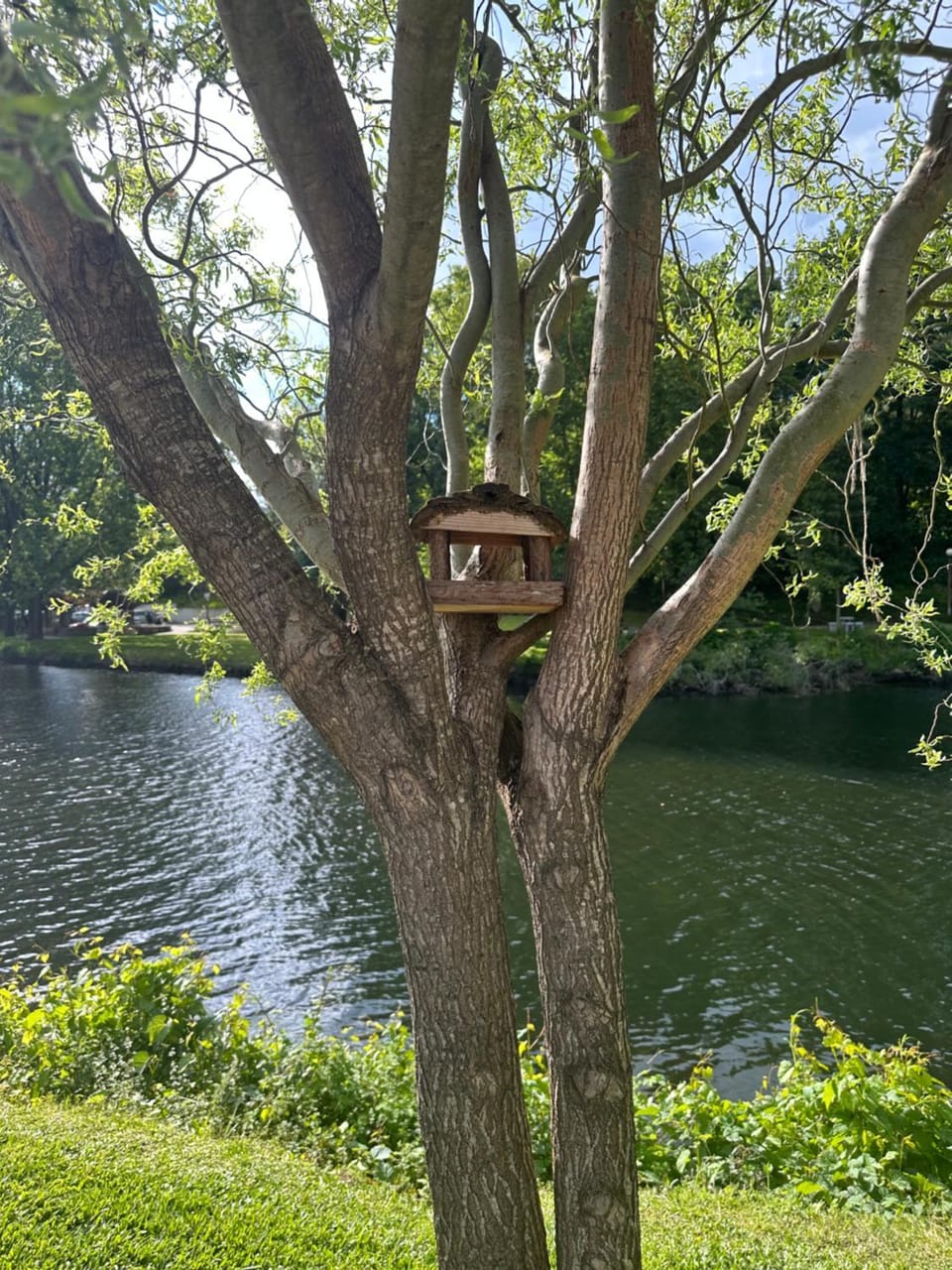 NATURE e SPA AL - Termas Saúde e Beleza, Totalmente Renovado - Piscinas Municipais em frente - Epoca Julho a Setembro Apartment in Portugal