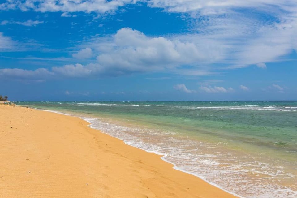 Sea view