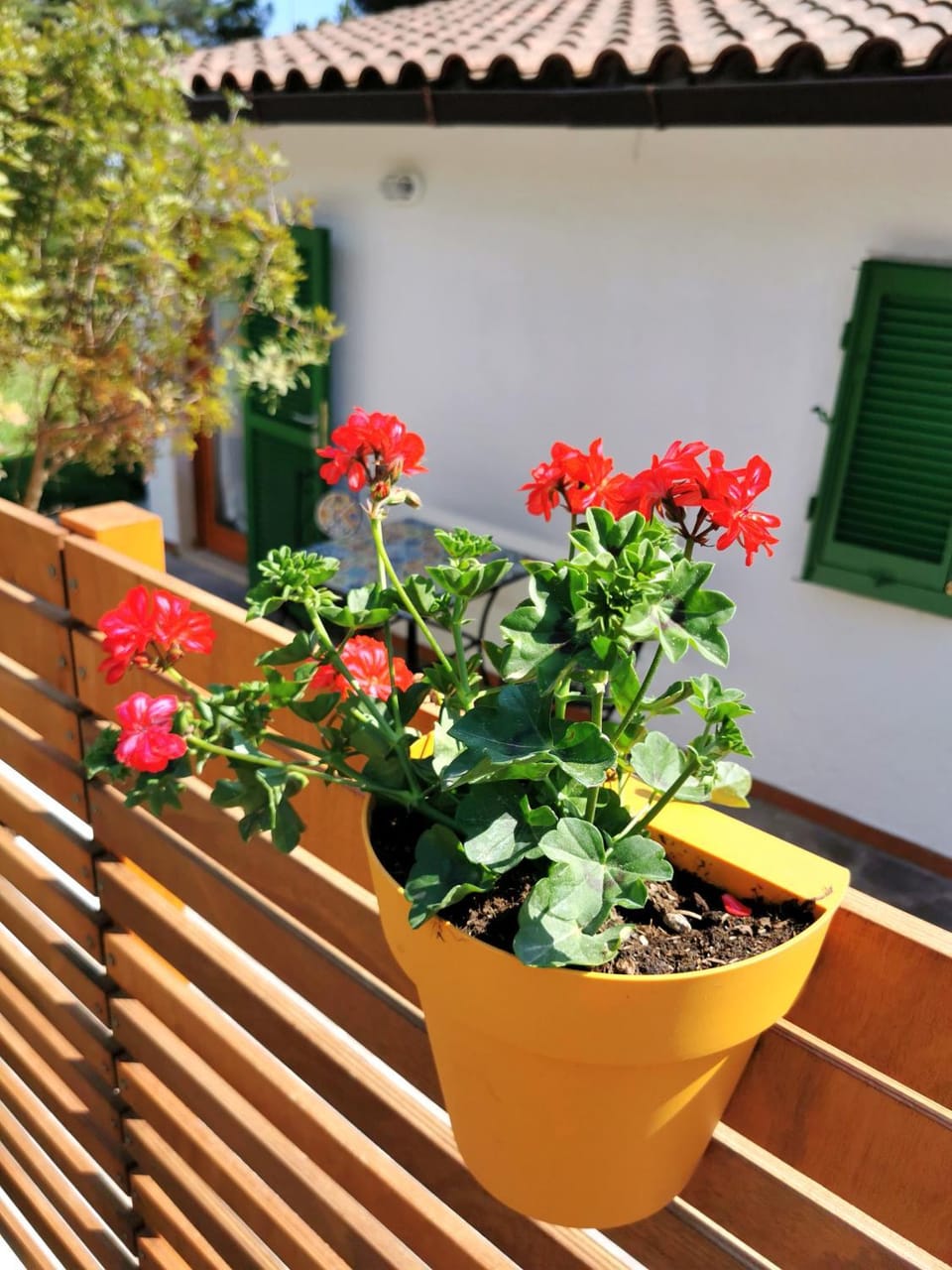 Patio, Balcony/Terrace