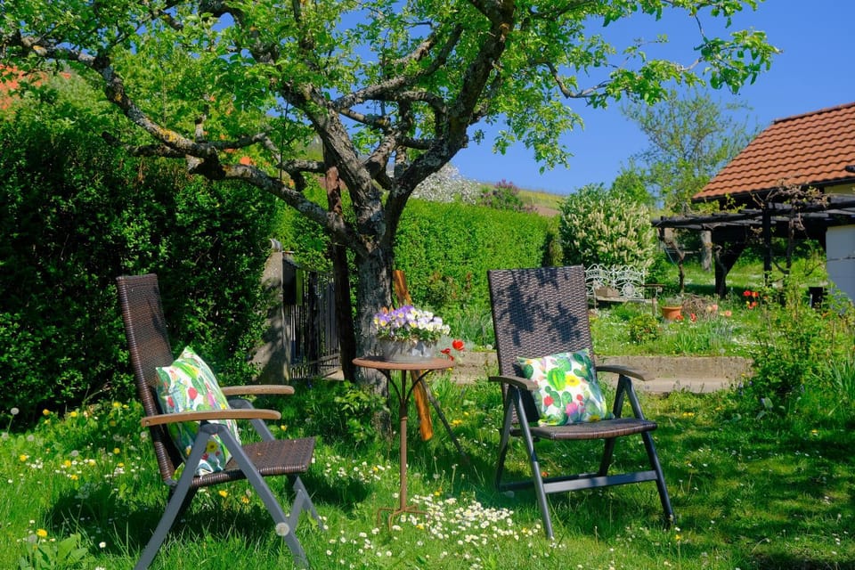 Garden view