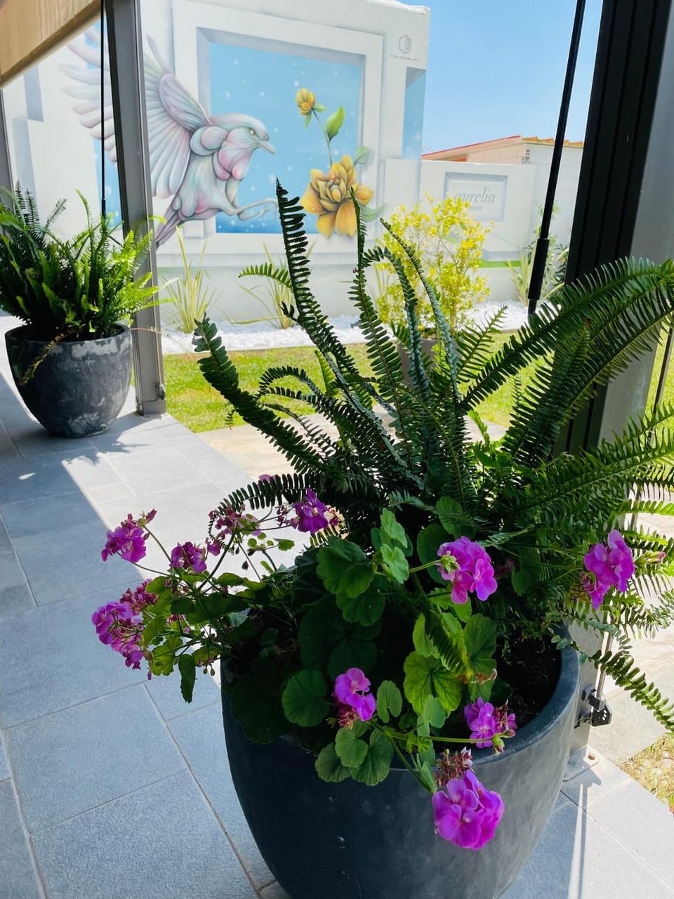 Day, Garden, Garden view