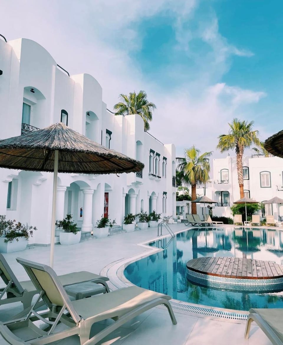 Property building, Day, Garden, Pool view, Swimming pool, sunbed