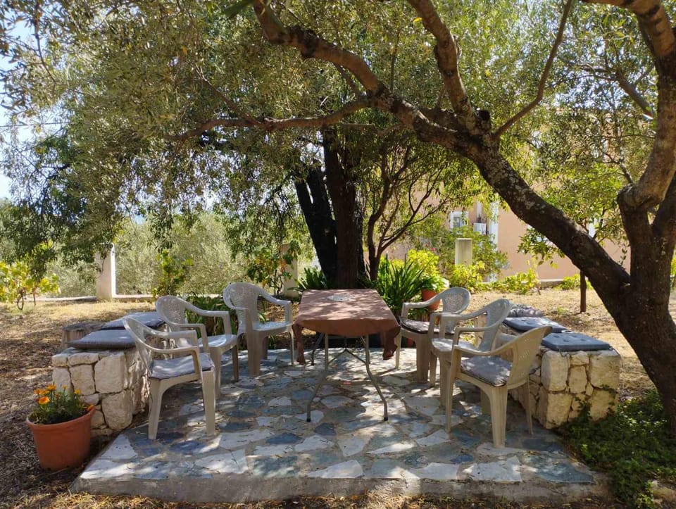Patio, Spring, Day, Garden, Garden, Seating area, Dining area, Garden view, Garden view