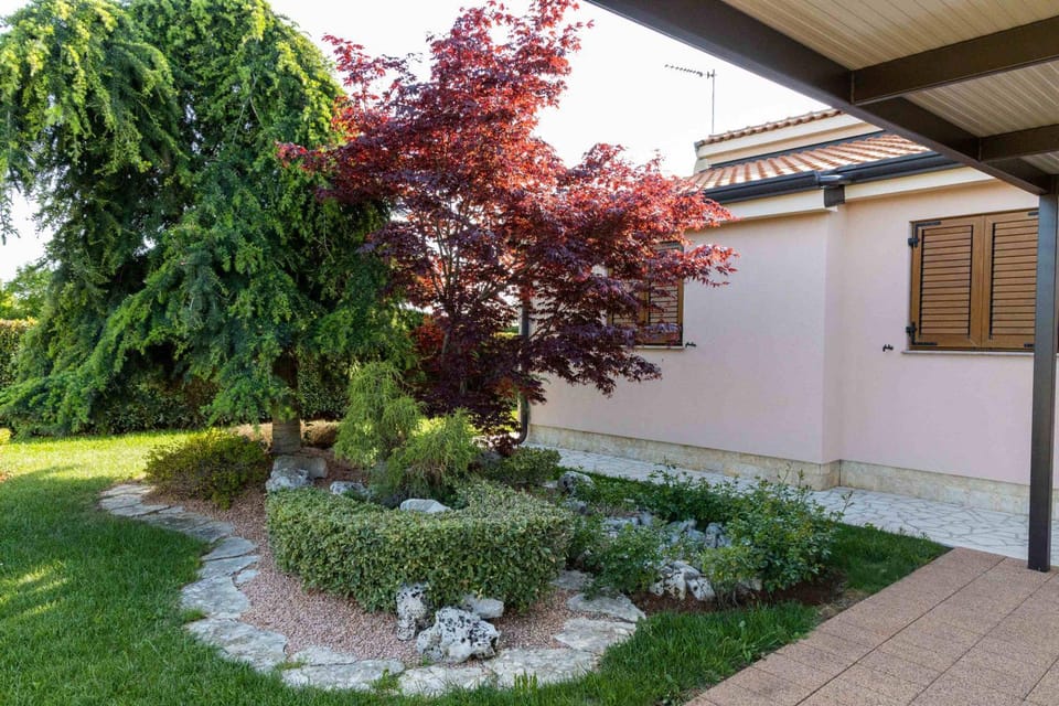Property building, Garden view