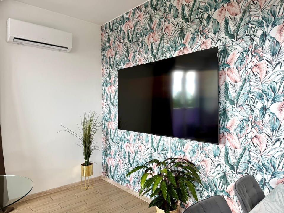 TV and multimedia, air conditioner