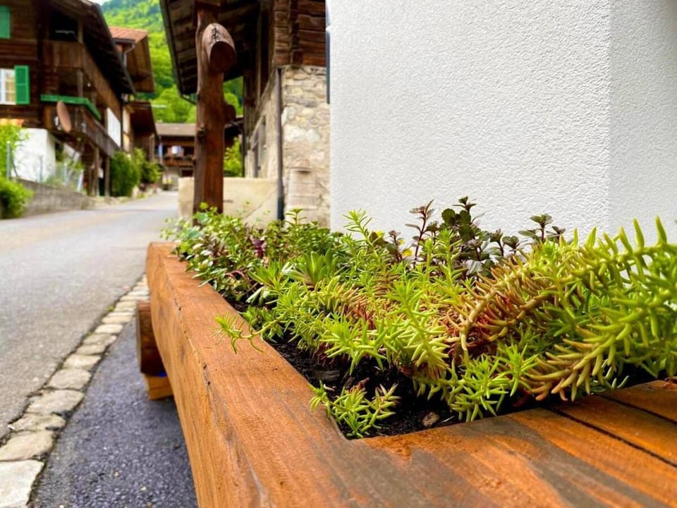 beim Brunnen Apartment in Canton of Bern (Region)