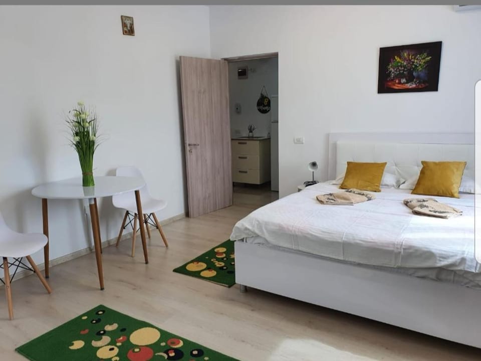 Studio Camy Apartment in Constanța County