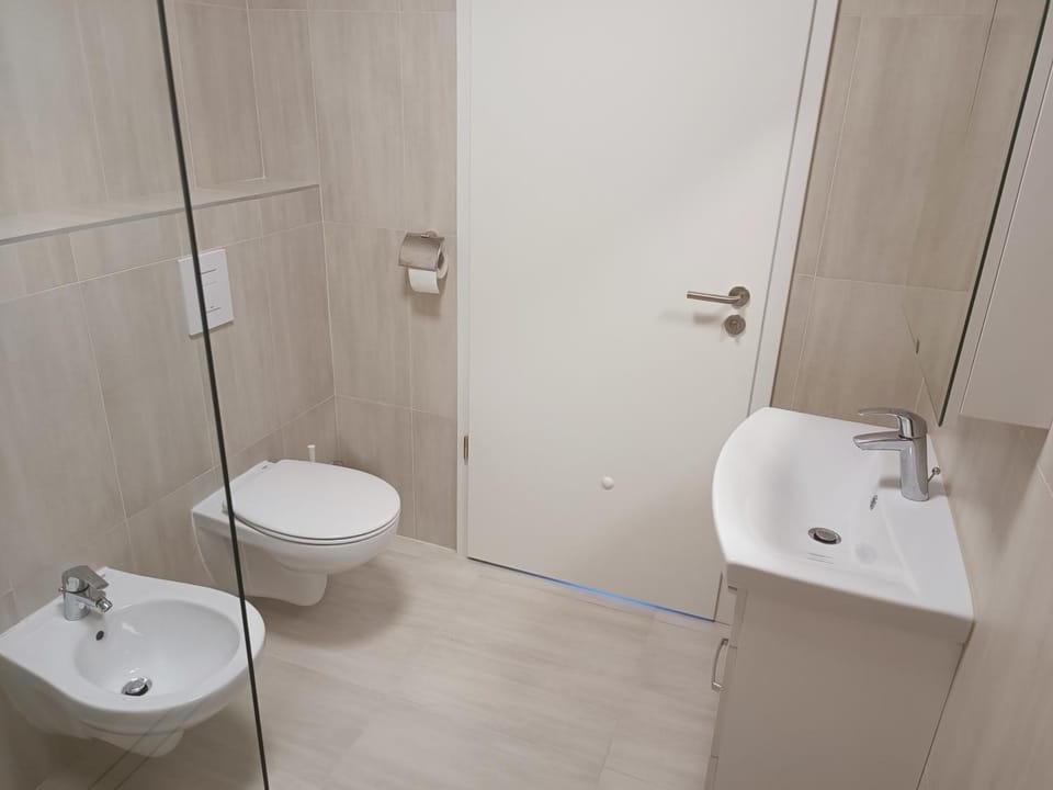 Shower, Toilet, Bathroom, bidet