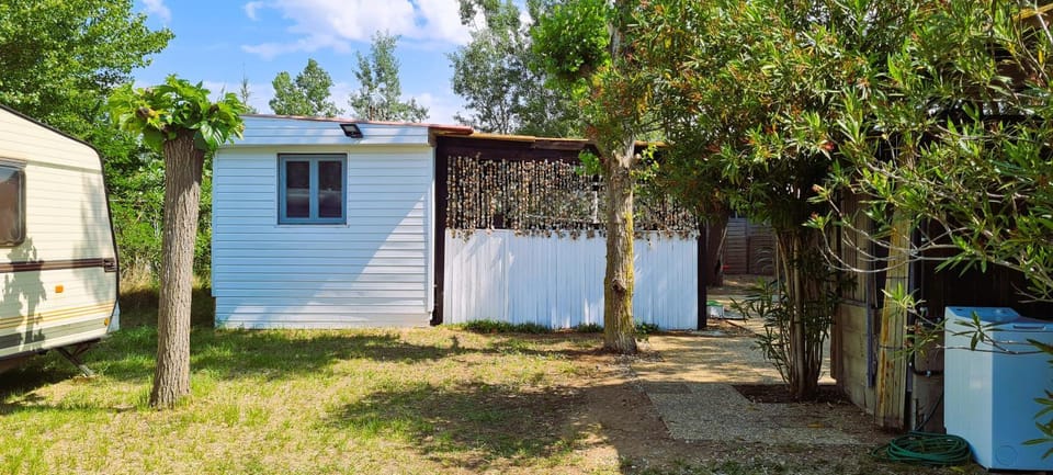 Property building, Day, Garden