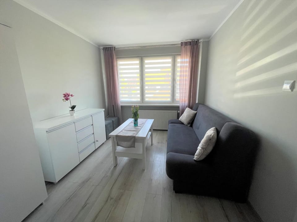 AL-DOM Apartament IZI Apartment in West Pomeranian Voivodeship, Poland