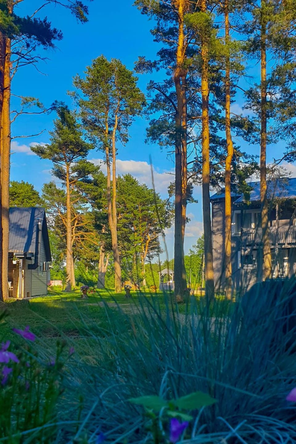 Property building, Natural landscape