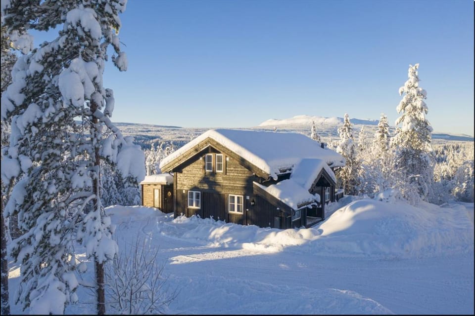 Property building, Day, Natural landscape, Winter, Mountain view