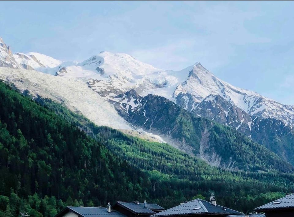 Mont Blanc 25, vue Mont blanc, balcon, parking Apartment in Chamonix