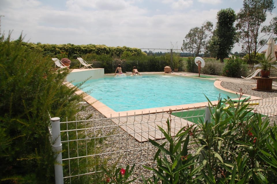 Swimming pool, sunbed