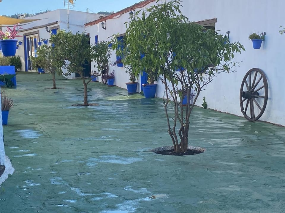 Cortijo rural los Erales Country House in Valle del Guadalhorce