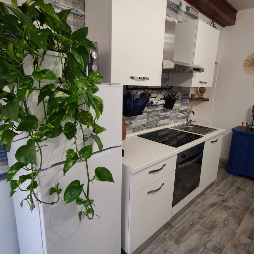 Maison Exotique - Riomaggiore / Cinque Terre / Beach Travel Apartment in Riomaggiore