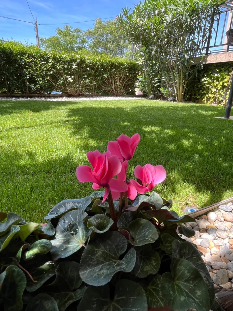 Apartman Mia Apartment in Lika-Senj County