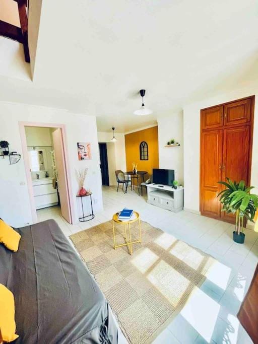 The king Duplex in the enter of Fontainebleau Apartment in Fontainebleau