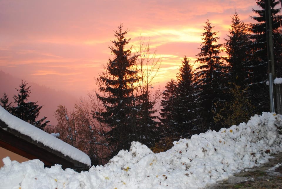 Winter