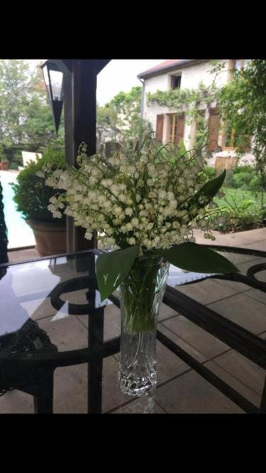 Bulles & Bubbles... Bed and Breakfast in Bourgogne-Franche-Comté