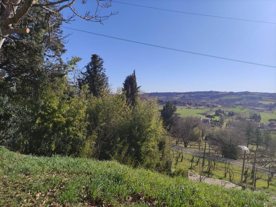 Natural landscape