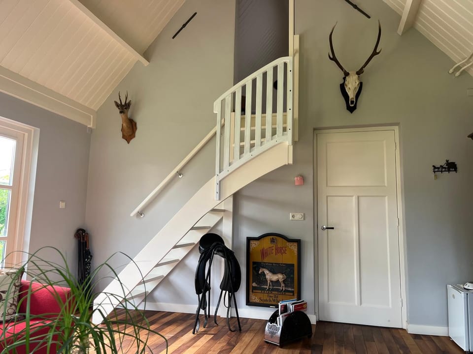Horse and Hound Bed and Breakfast in North Brabant (province)