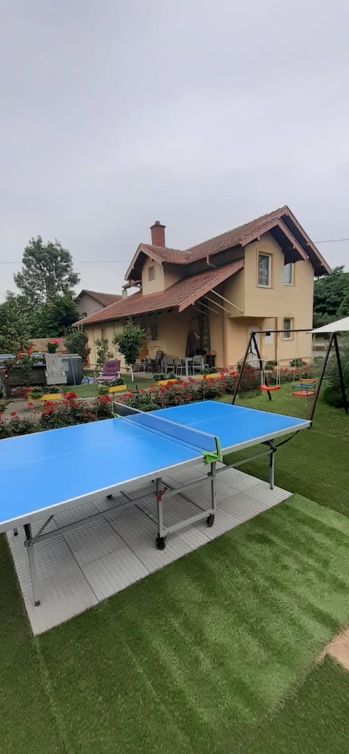 Table tennis