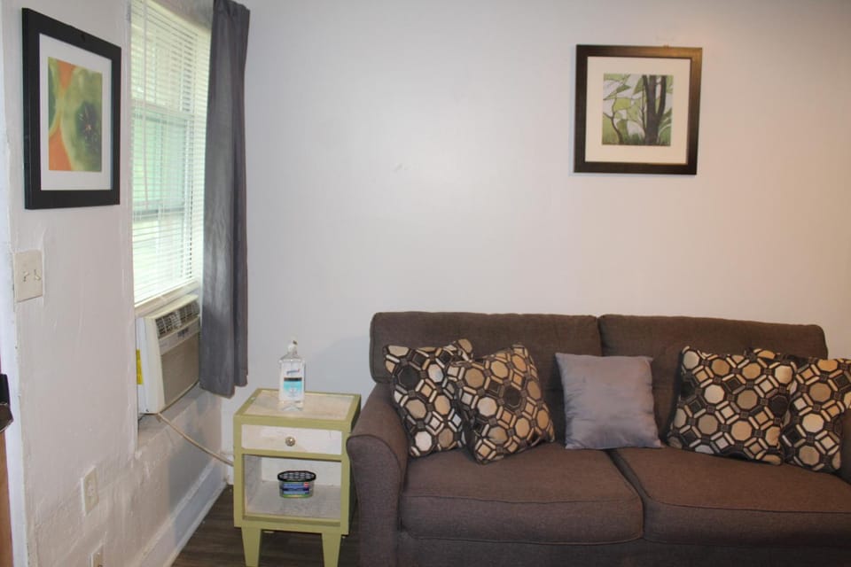 HISTORIC HILL APT2 (Downstairs) Apartment in Alabama