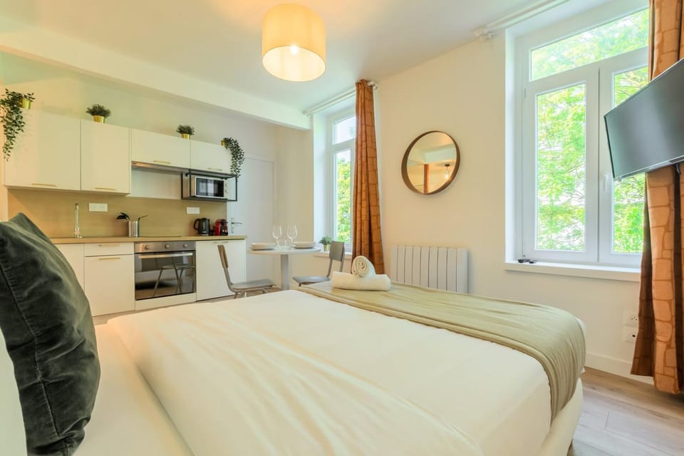Lille Sébastopol nice studio Apartment in Lille