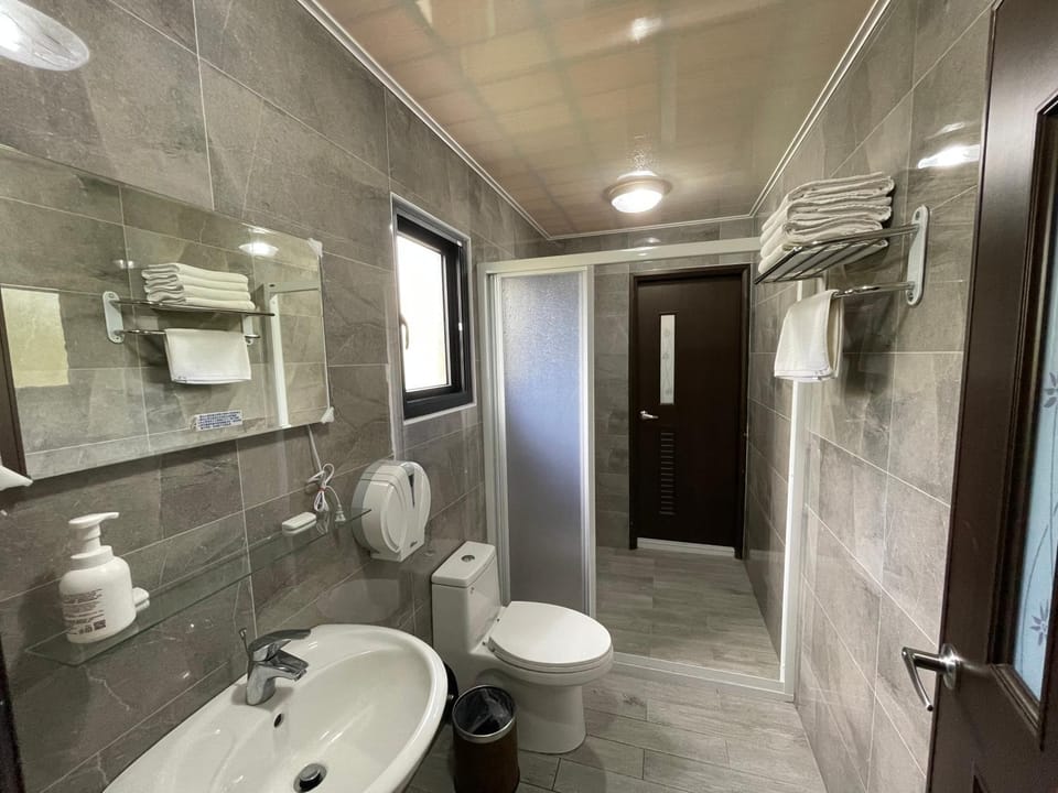 Toilet, Bathroom