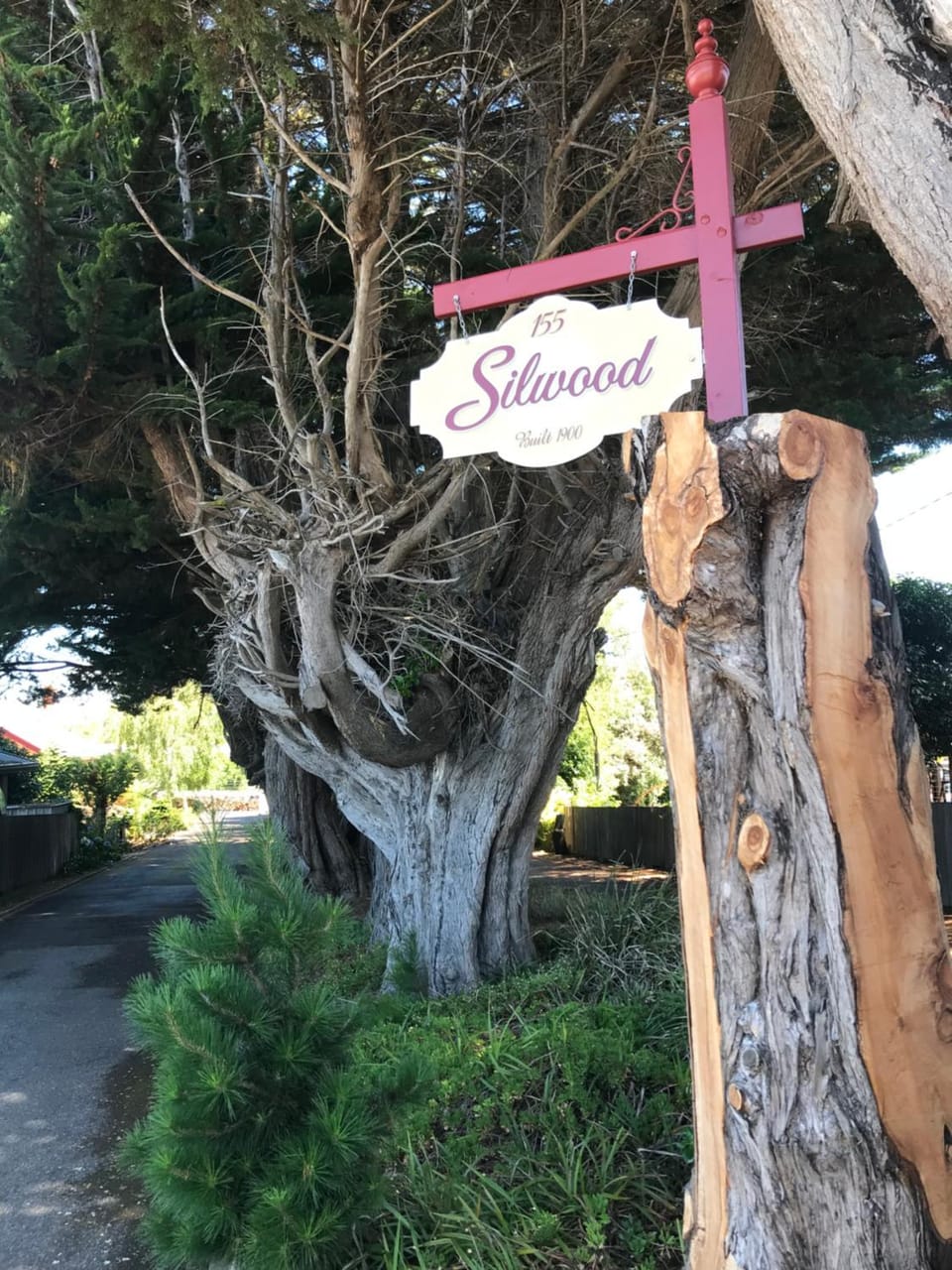 Silwood Apartment fully self contained with Kitchen and Laundry Apartment in Devonport