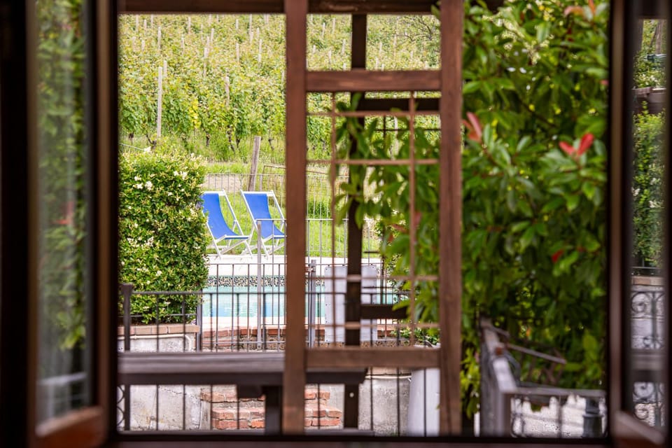 Garden, Balcony/Terrace, Swimming pool, sunbed
