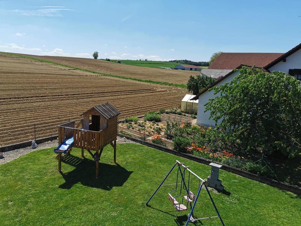 Natural landscape, Garden, View (from property/room), Garden view