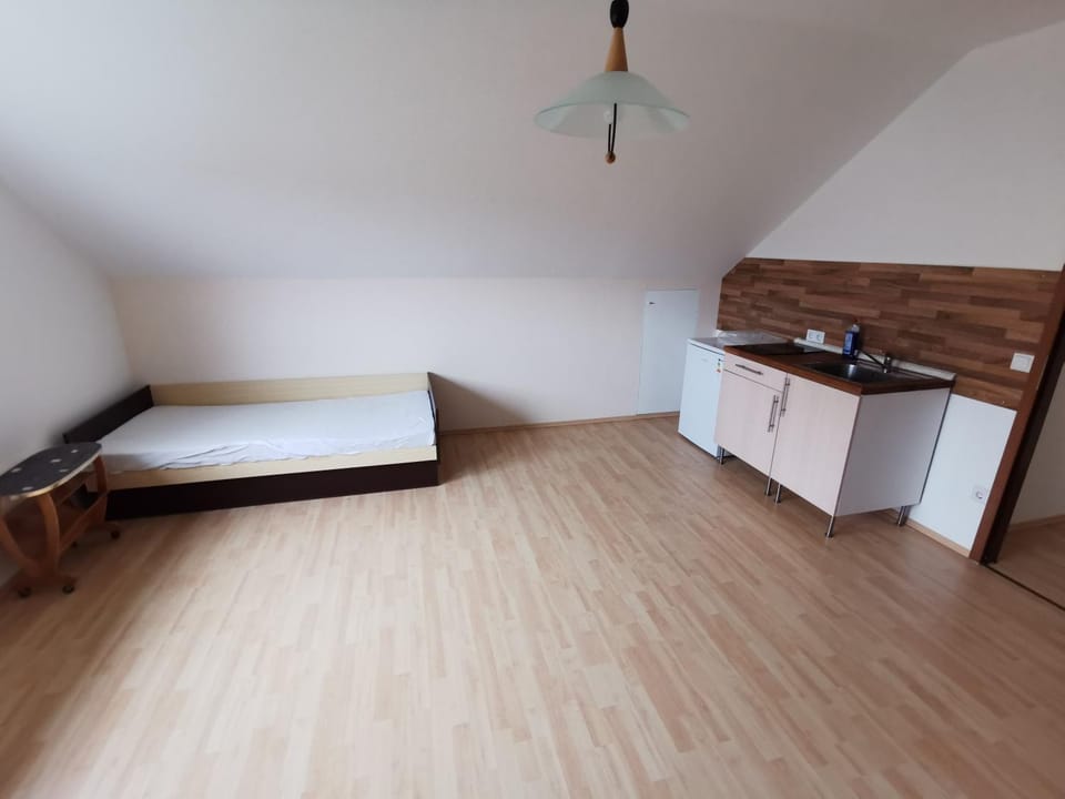 Kitchen or kitchenette, Photo of the whole room