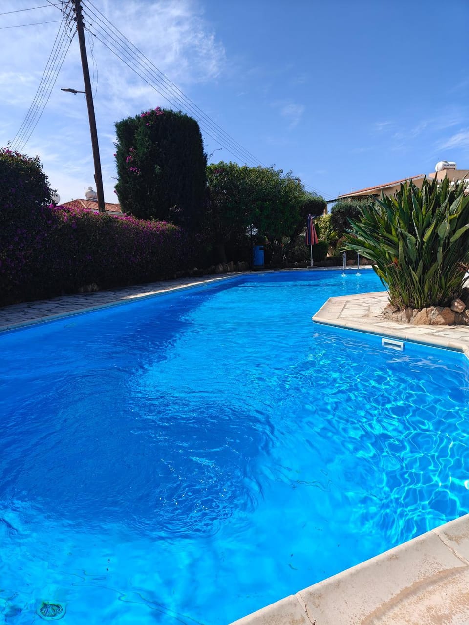 Pool view, Swimming pool