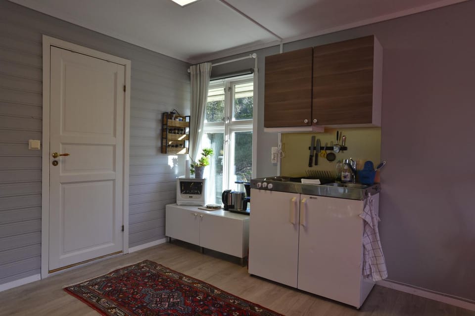 Kitchen or kitchenette, minibar
