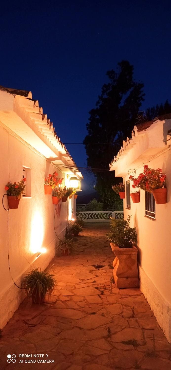 Las Escuelas del Ayer Vivienda Turística de Alojamiento Rural House in Andalusia