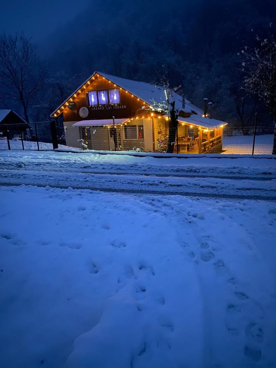 Cabana lui Foardă House in Romania