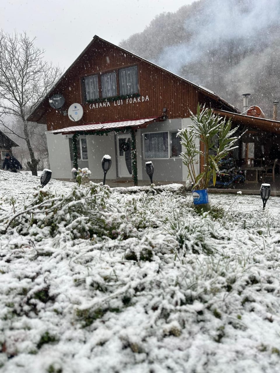 Cabana lui Foardă House in Romania