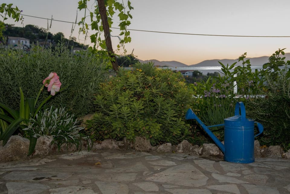 Day, Natural landscape, Garden, Garden view, Mountain view