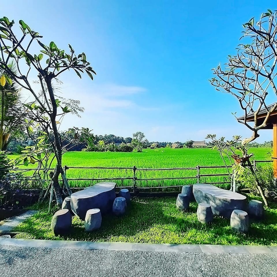 Natural landscape, Game Room, View (from property/room), Garden view