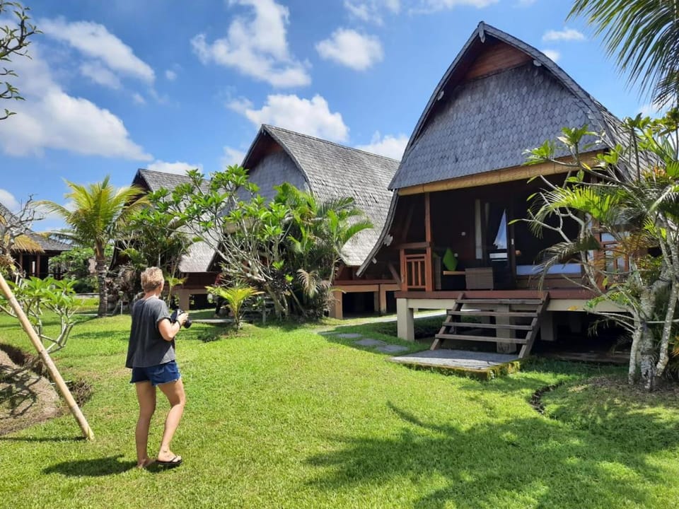 Property building, Garden view, Inner courtyard view