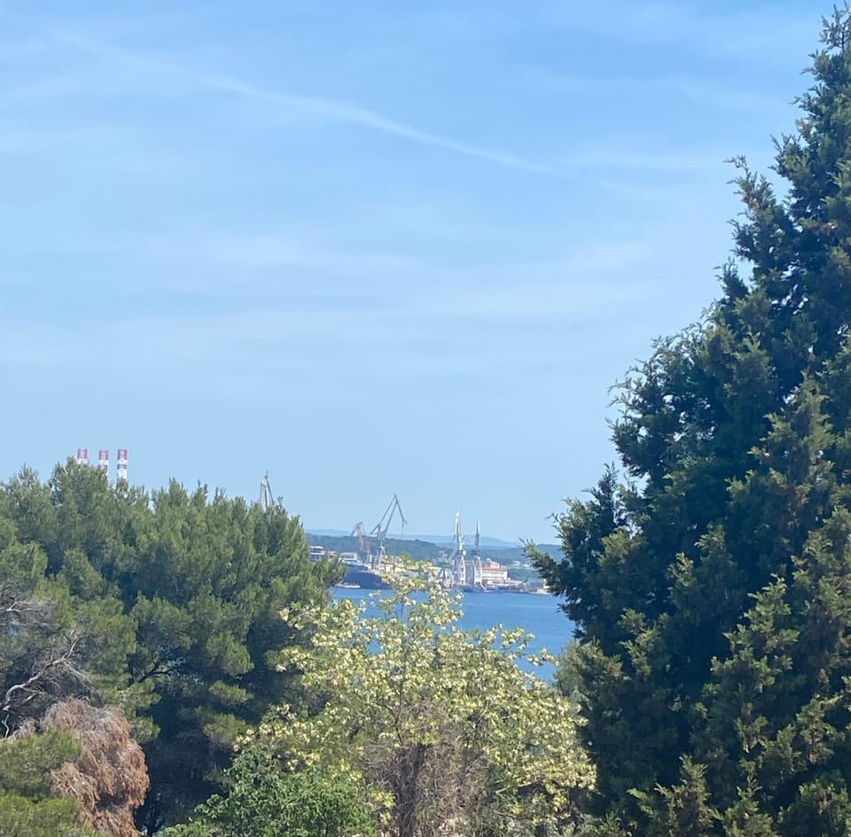 Villa Mara Apartment in Pula