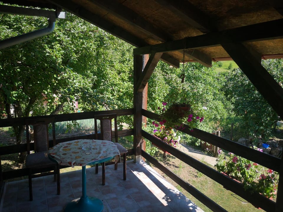 Vikendica kod Brice Apartment in Zlatibor District, Serbia