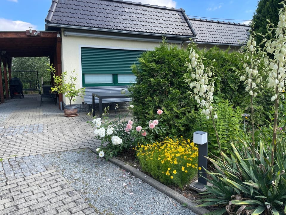 Ferienhaus Amare mit Fasssauna, eigener Terrasse & Kamin House in Saxony