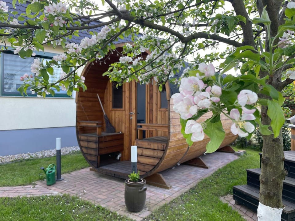 Ferienhaus Amare mit Fasssauna, eigener Terrasse & Kamin House in Saxony