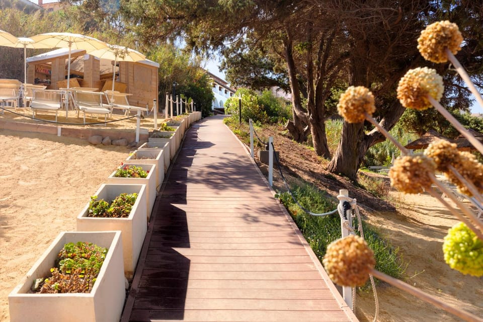 Garden, Solarium, sunbed