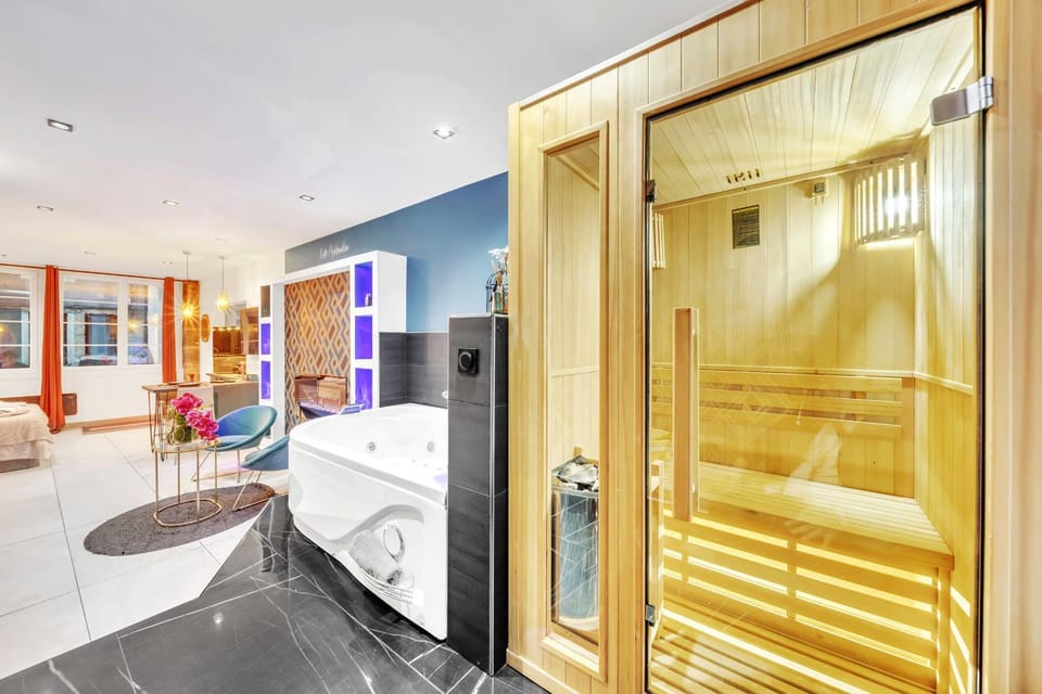 Aphrodite suite de prestige Apartment in Dijon