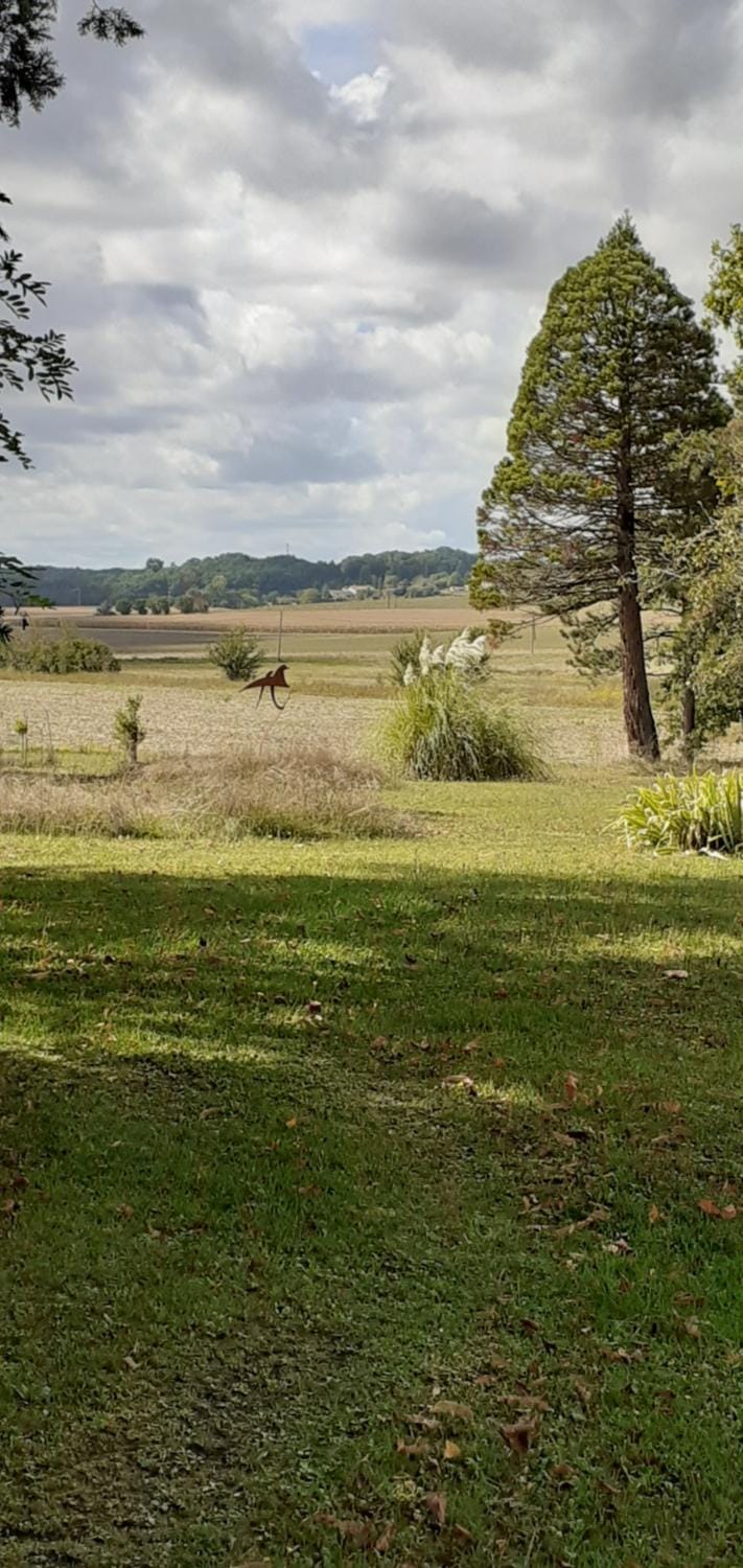 View (from property/room)
