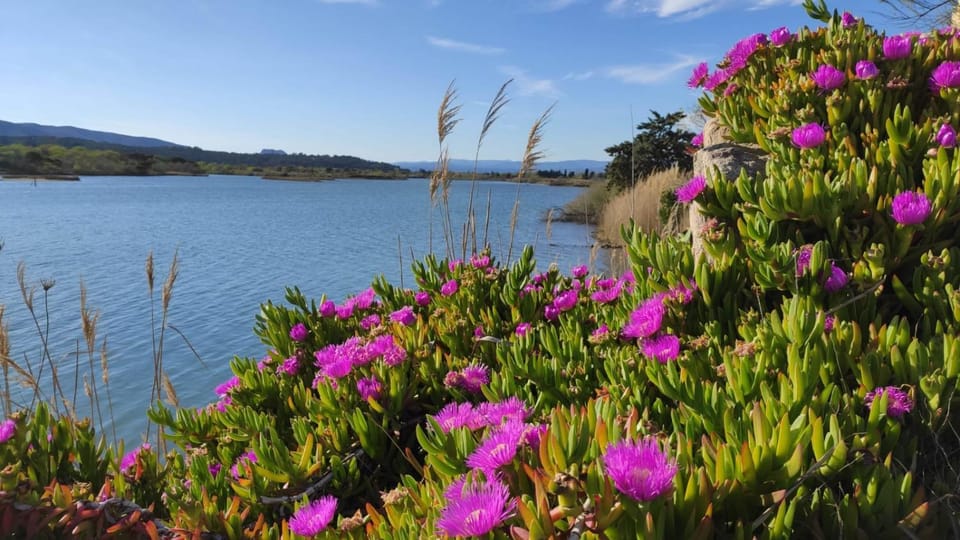 Nearby landmark, Natural landscape